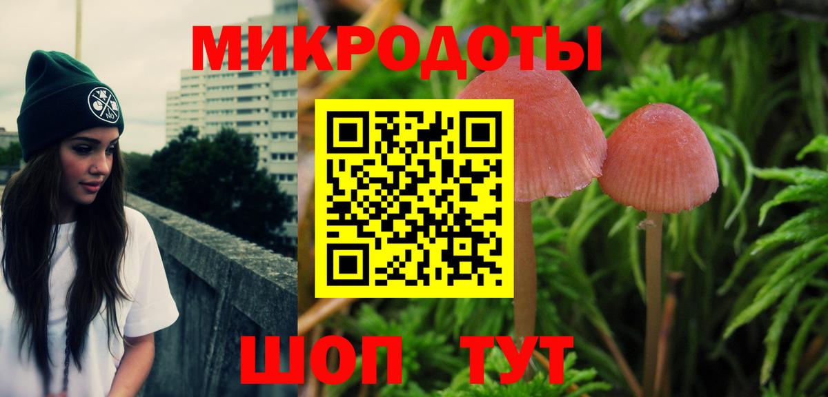 Галлюциногенные грибы Cubensis Губаха