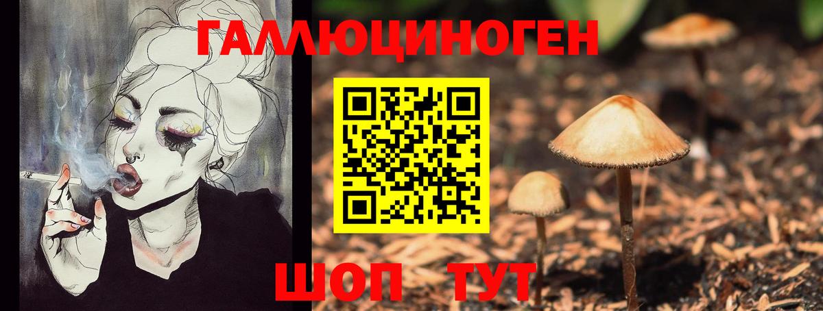 Губаха  Псилоцибиновые грибы GOLDEN TEACHER  Вход с VPN 