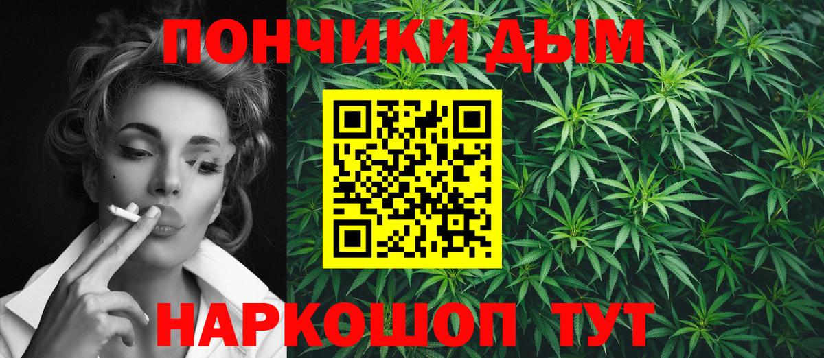 Бошки Шишки план Губаха